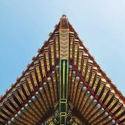 南飞272的个人资料头像