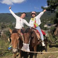 陌陌陈晓明头像