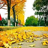 用户8669329997340头像