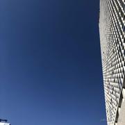 George_Sheng的个人资料头像