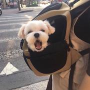 浪迹A的个人资料头像