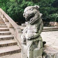 女司机孙二娘头像