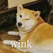 iOS_Martin的个人资料头像