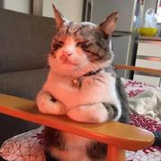 杰杰大王的个人资料头像