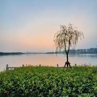 永不停息的风506头像