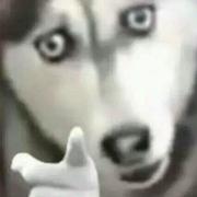 阿钊748的个人资料头像