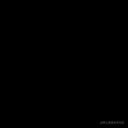 YvonneJ的个人资料头像