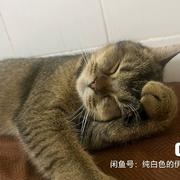 林深不知处558的个人资料头像