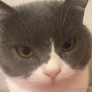 阿姨洗铁路_的个人资料头像