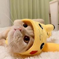 东了个东12138头像