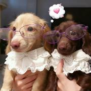 NaN355的个人资料头像