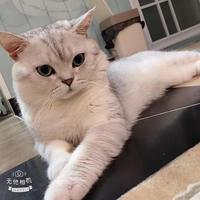 一颗圆溜溜的小橙子头像