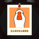 我可没钱谈恋爱头像