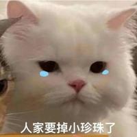 哈哈哈lkl头像