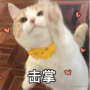 我真是进击的程序员的个人资料头像