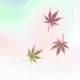 都付笑谈中276头像