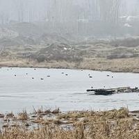 爱旅行爱玩车头像