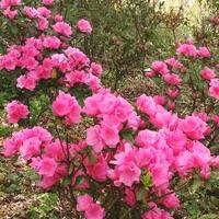 用户6109440667663头像