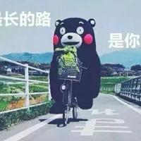 我在河之洲头像