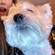 XavierElco的个人资料头像