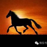英雄无悔245头像