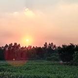 茶山衣哥头像