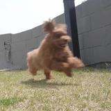 清新旭日6O1头像