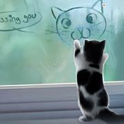 沉羽的个人资料头像