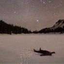 veteran47231的个人资料头像