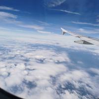 寻梦游子Walker头像