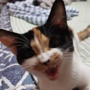 义薄云天王某人1的个人资料头像