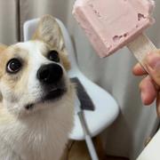 Fighting145的个人资料头像