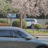 大刀王56头像
