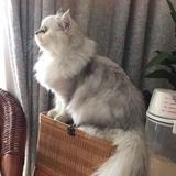 马亮0头像