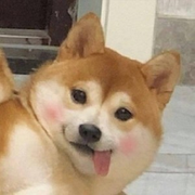 叫什么名字来着的个人资料头像