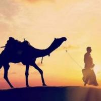 最爱研究车头像