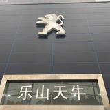 乐山天牛标致头像