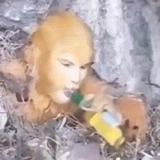 德玛西亚之肾头像