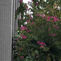 用户4483274585468头像