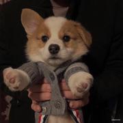 用户1344095579517的个人资料头像