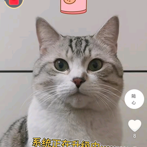 ～～随心分享～喵喵～～头像