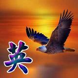 满英54831473头像
