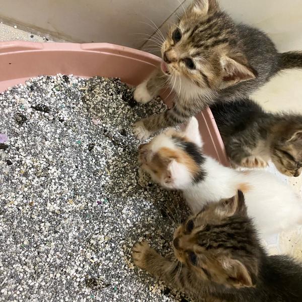 一横汽车生活头像