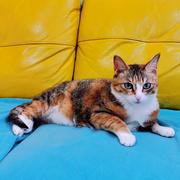 lllddd的个人资料头像