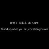 喜庆的豆浆2N头像
