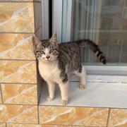 文文923的个人资料头像