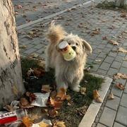 Luka908的个人资料头像