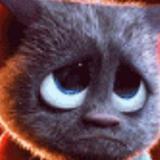 用户6248228422545头像