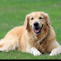 用户695165299519头像