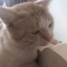 漠白就是我的个人资料头像